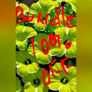 BUNDLE 2 OR MORE 10% OFF